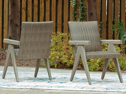 Silla con brazos Cliff Trails (2/CN)