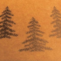 Lámpara de mesa Derek Poly (2/CN)