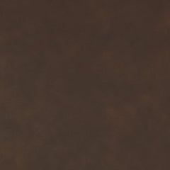 Sofá seccional reclinable eléctrico de 2 piezas Dunleith