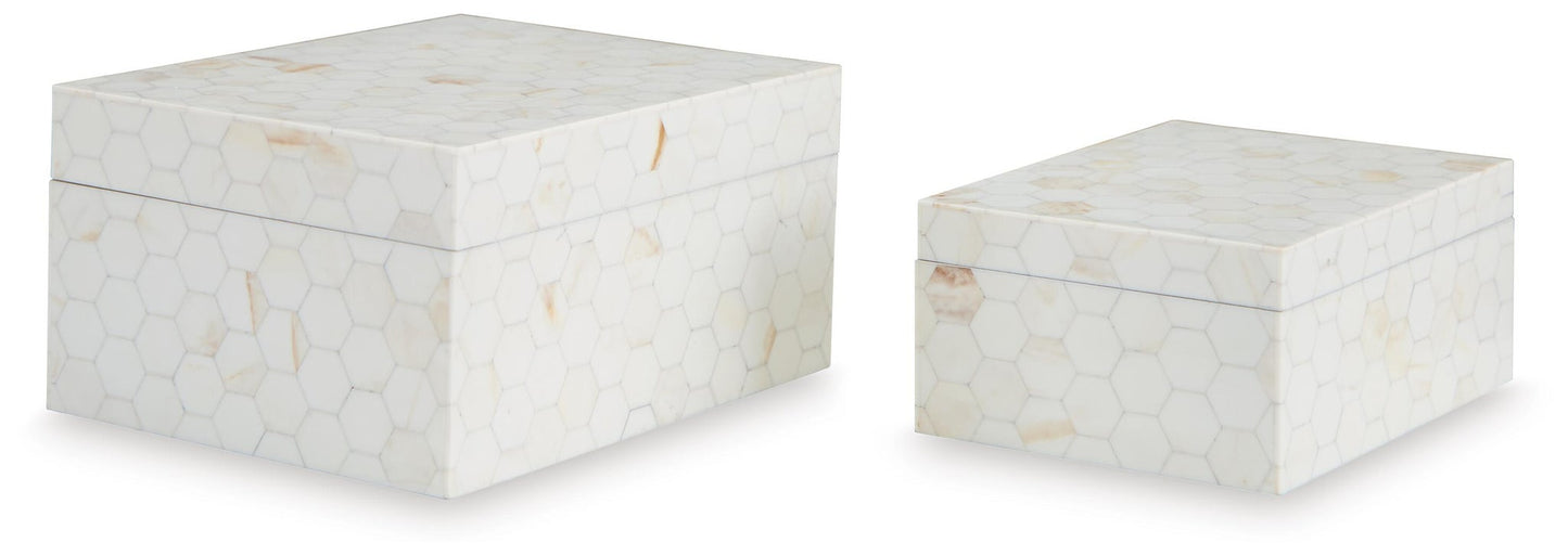 Caja recopilatoria de Aldenburg (2/CN)