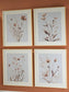 Juego de arte mural Chettings (4/CN)