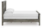 Cama con panel Queen Frandern